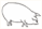 白豚